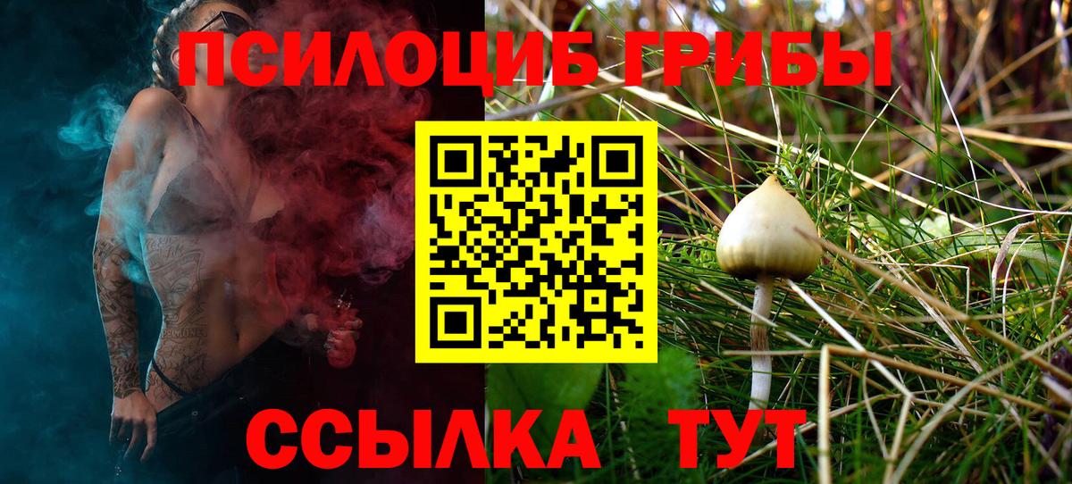 Псилоцибиновые грибы прущие грибы  Вход с VPN  Александров 