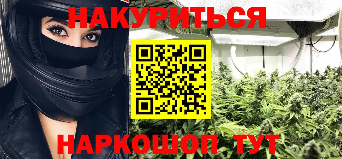 Бошки Шишки SATIVA & INDICA  Вход с VPN  Шишки марихуана SATIVA & INDICA  Каннабис тримм  Александров  Бошки марихуана White Widow 